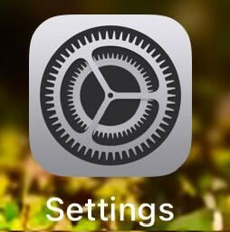 iPhone Settings app
