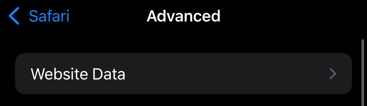 iPhone Safari website data