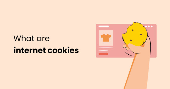 What are internet cookies?