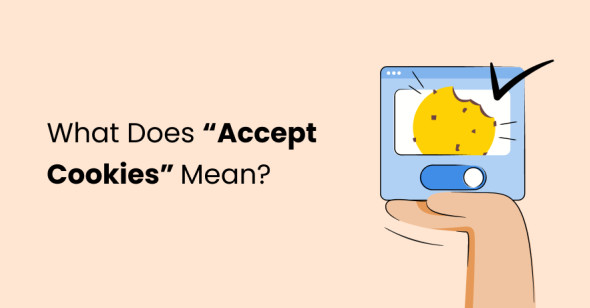 What Does “Accept Cookies” Mean?