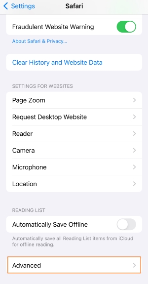 Find the Advanced section in the Safari settings on iPhone